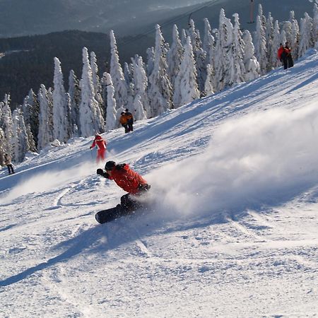 Sonnenhof Resort Bayerischer Wald 램 외부 사진