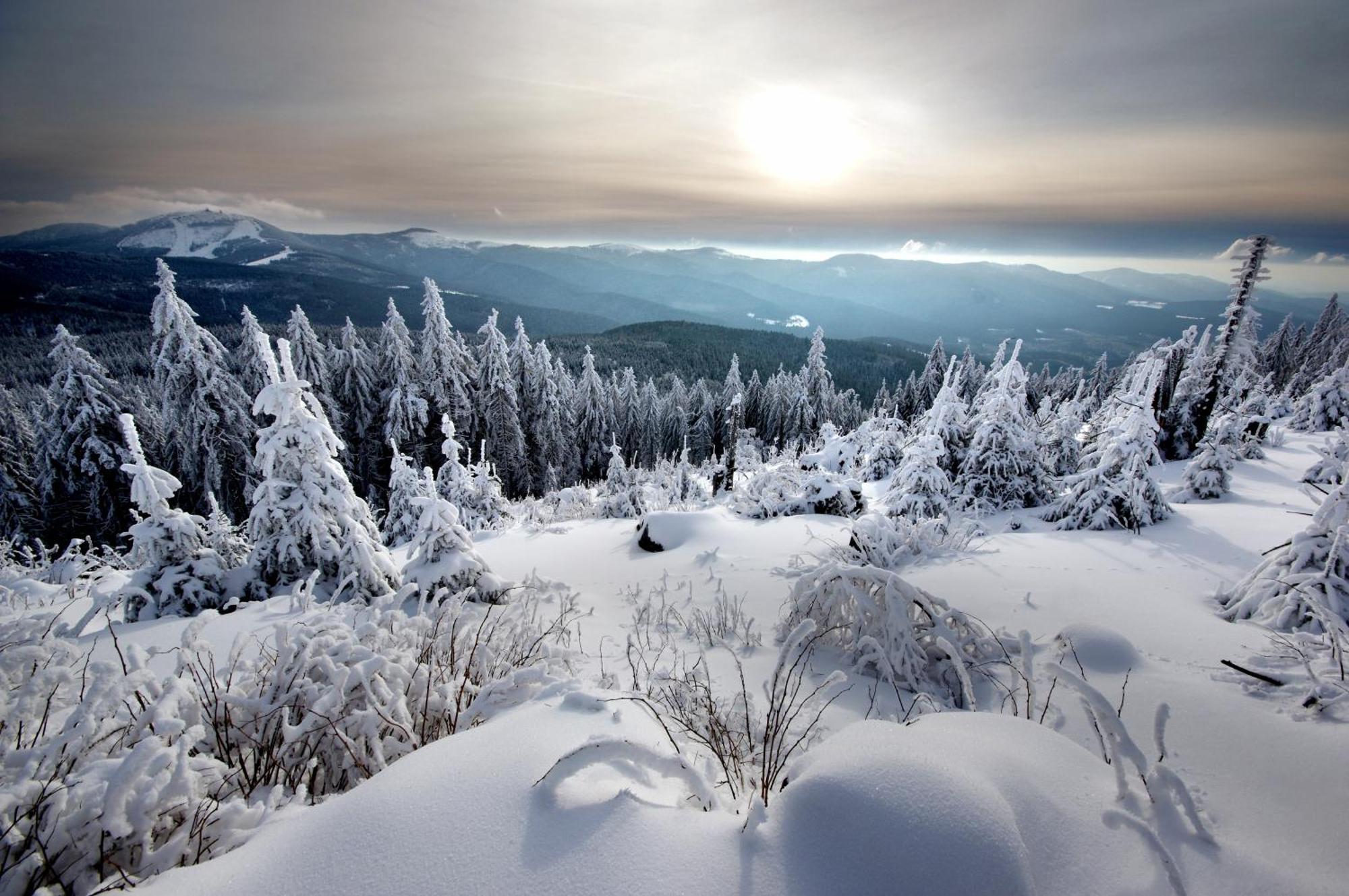 Sonnenhof Resort Bayerischer Wald 램 외부 사진