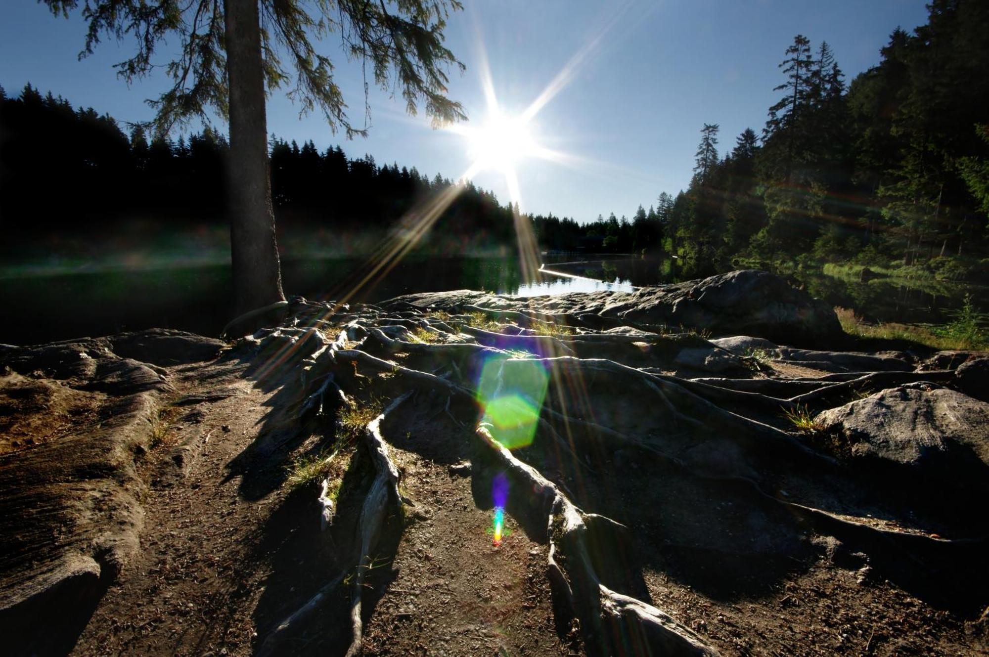 Sonnenhof Resort Bayerischer Wald 램 외부 사진